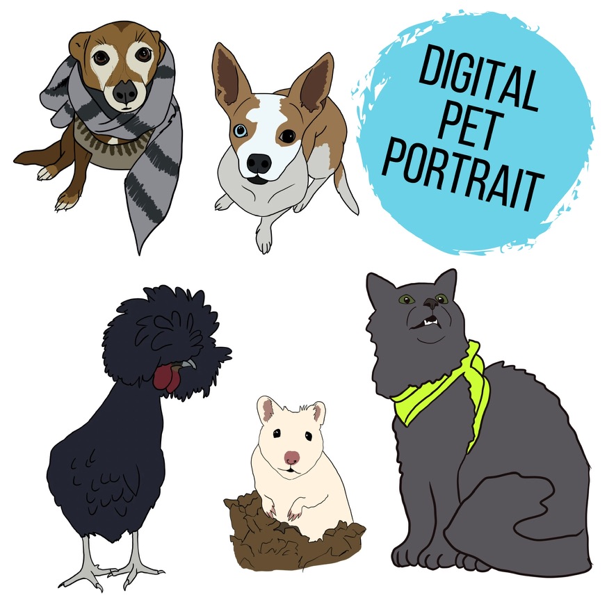 Custom DIGITAL cartoon style pet portrait