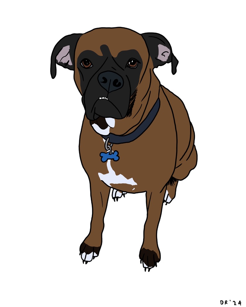 Custom DIGITAL cartoon style pet portrait - Image 21