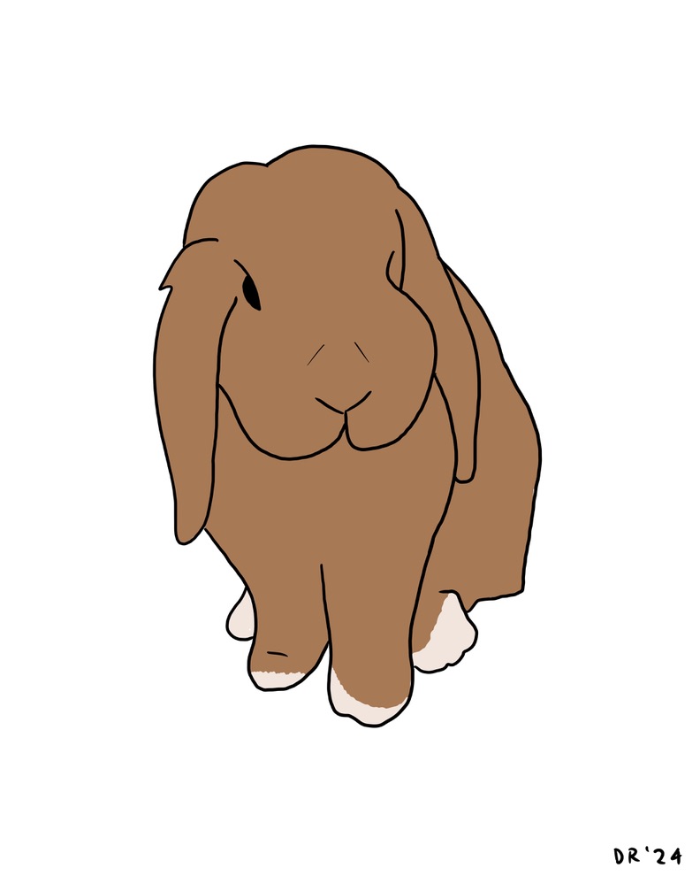 Custom DIGITAL cartoon style pet portrait - Image 15