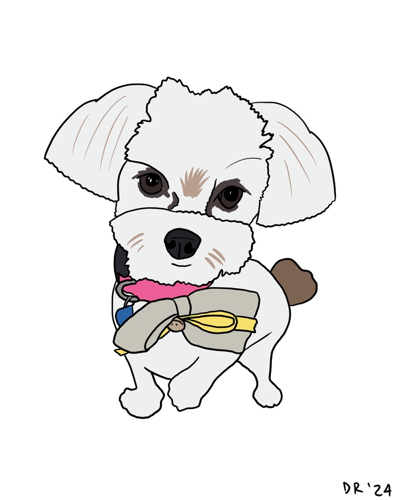 Custom DIGITAL cartoon style pet portrait - Image 8