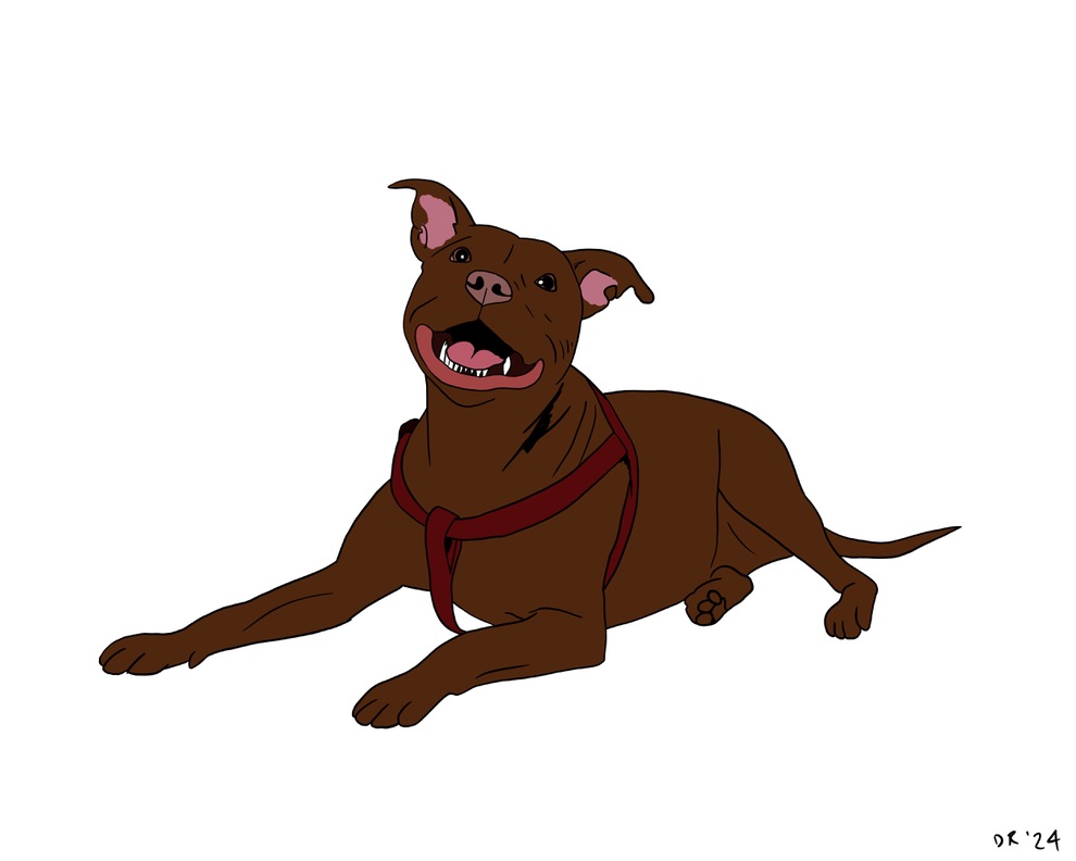 Custom DIGITAL cartoon style pet portrait - Image 12