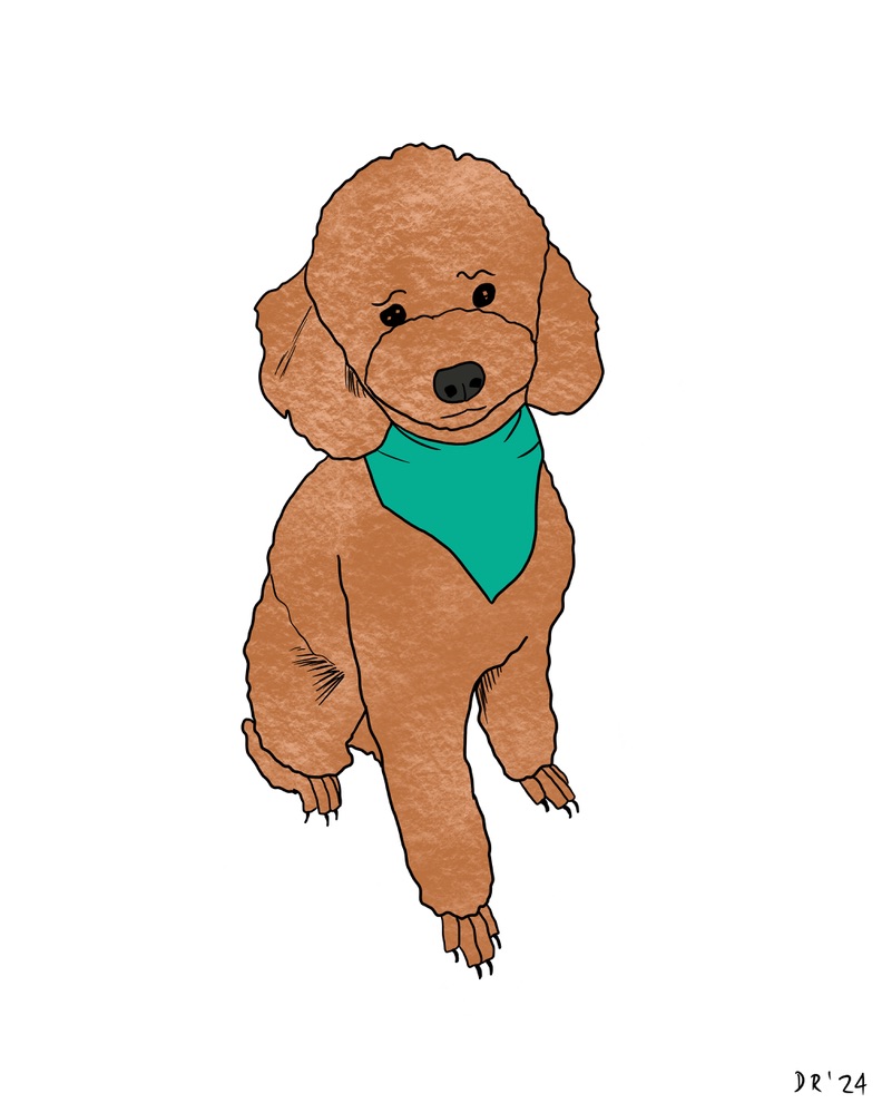 Custom DIGITAL cartoon style pet portrait - Image 20