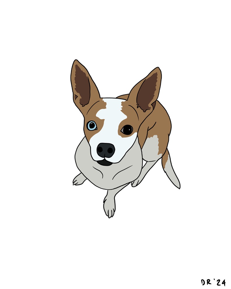Custom DIGITAL cartoon style pet portrait - Image 6