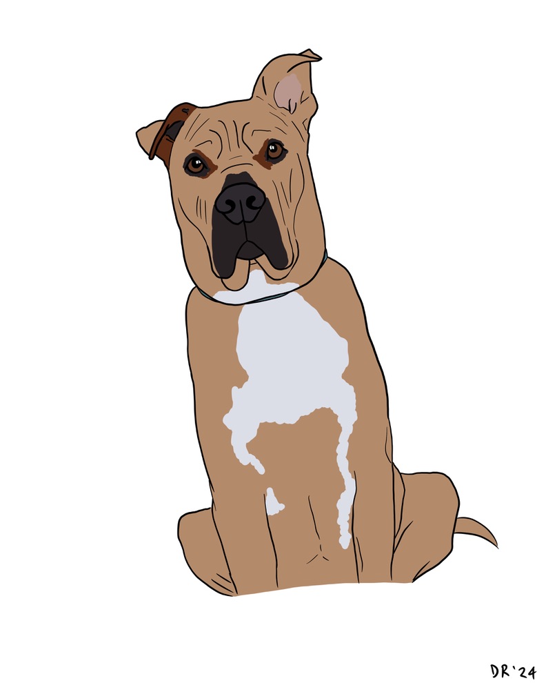 Custom DIGITAL cartoon style pet portrait - Image 11