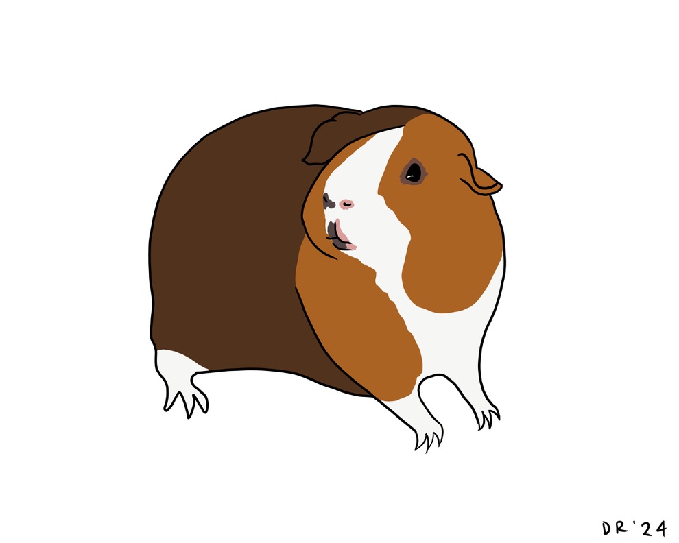 Custom DIGITAL cartoon style pet portrait - Image 18