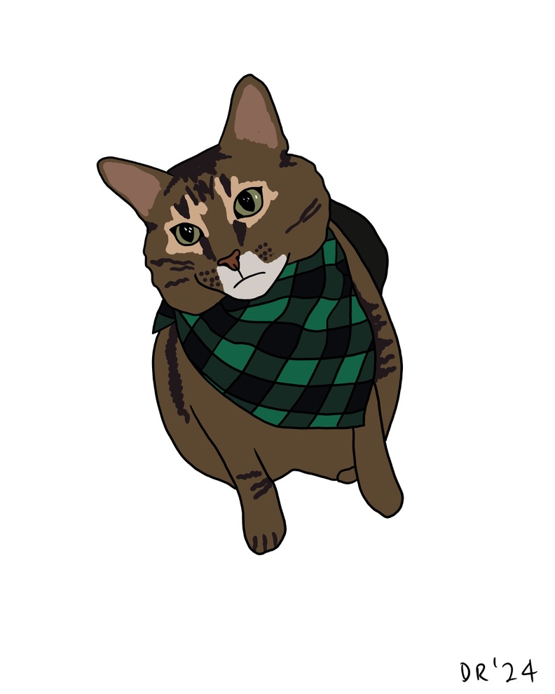 Custom DIGITAL cartoon style pet portrait - Image 16