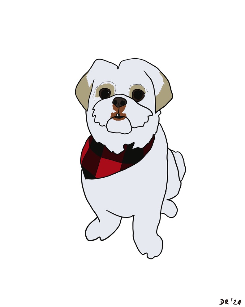 Custom DIGITAL cartoon style pet portrait - Image 3