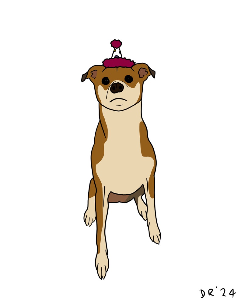 Custom DIGITAL cartoon style pet portrait - Image 17