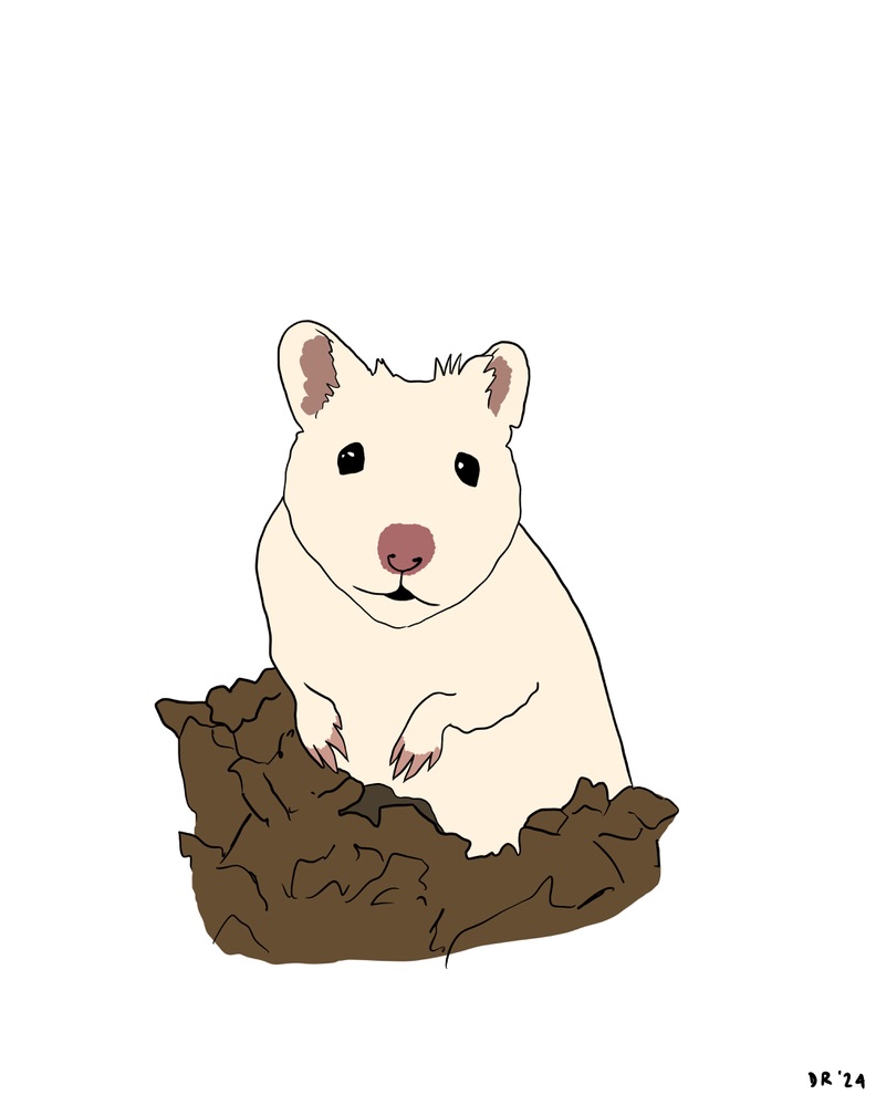 Custom DIGITAL cartoon style pet portrait - Image 10