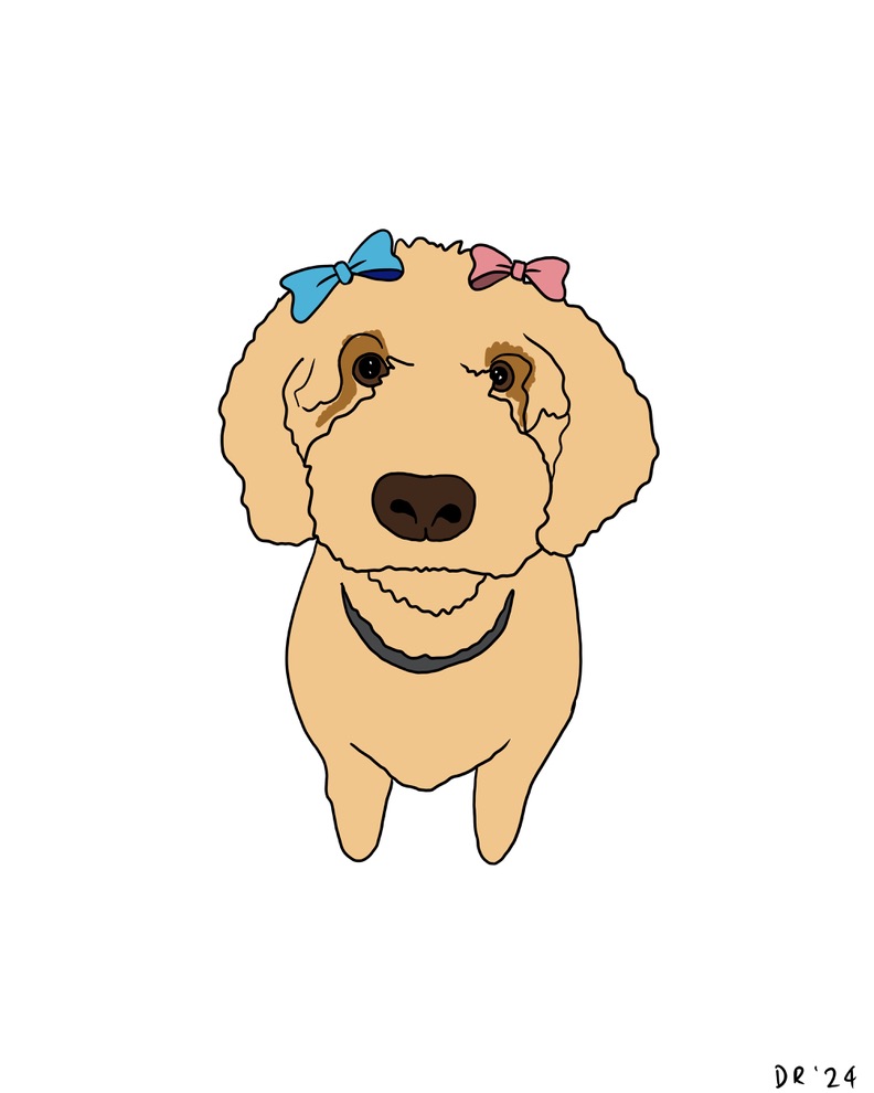 Custom DIGITAL cartoon style pet portrait - Image 5