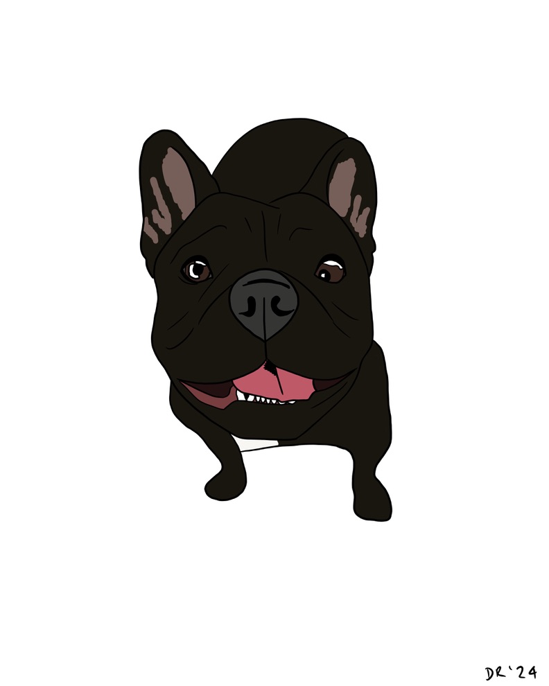 Custom DIGITAL cartoon style pet portrait - Image 19