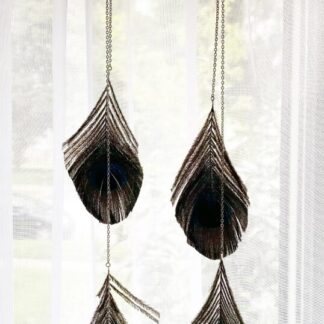 Feather Earrings	2 Strand Peacock (Pendulum)