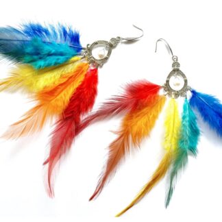 Feather Earrings	Rainbow
