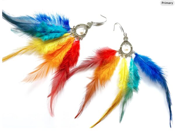 Feather Earrings	Rainbow