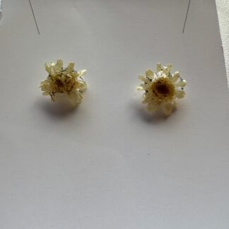 Real Small Daisy Resin Stud Earrings