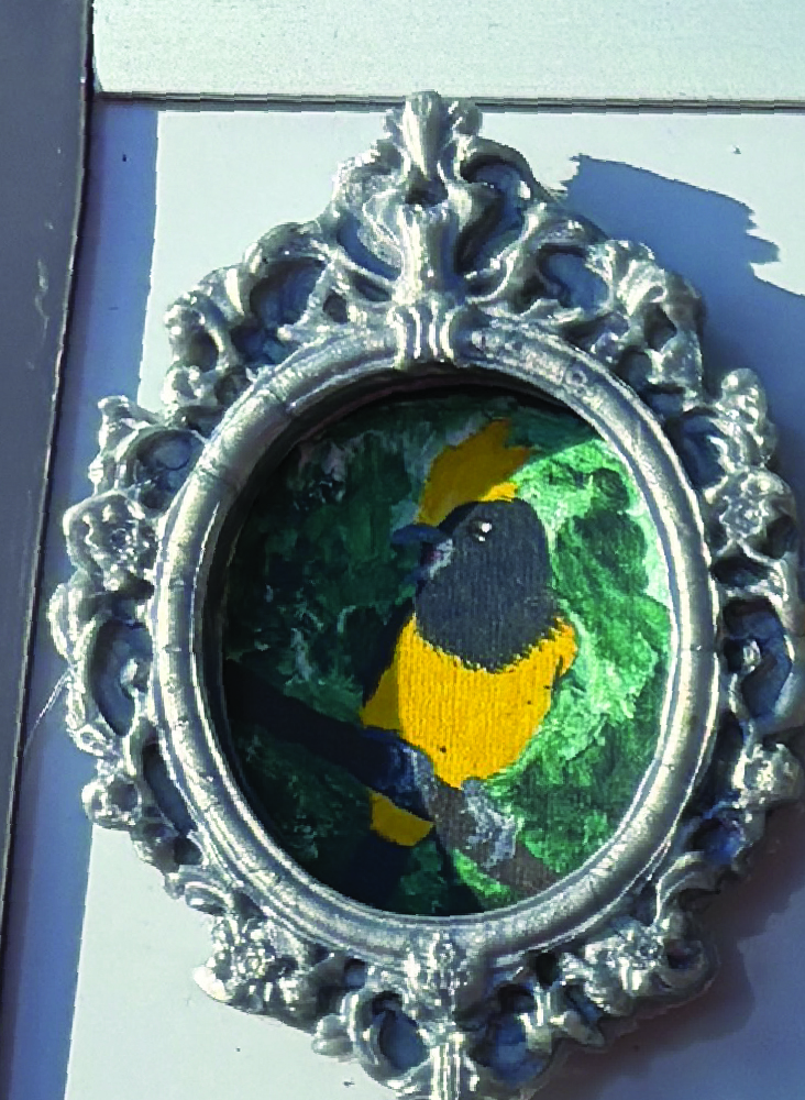 Derpy Birbs Magnets in Ornate Frames - Image 2