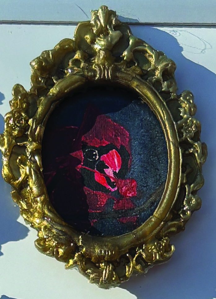 Derpy Birbs Magnets in Ornate Frames - Image 4