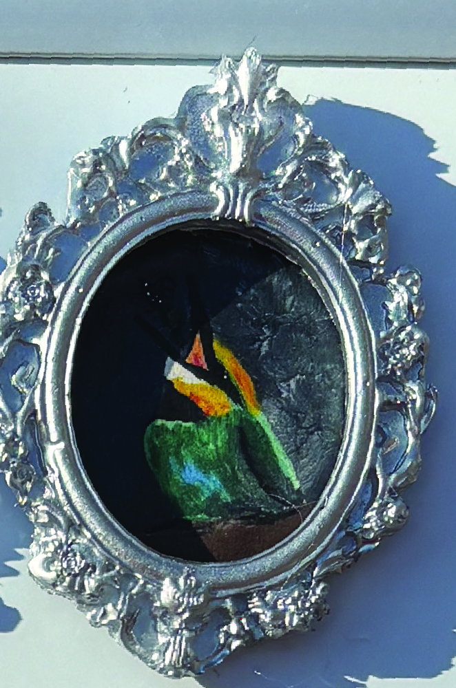 Derpy Birbs Magnets in Ornate Frames - Image 5