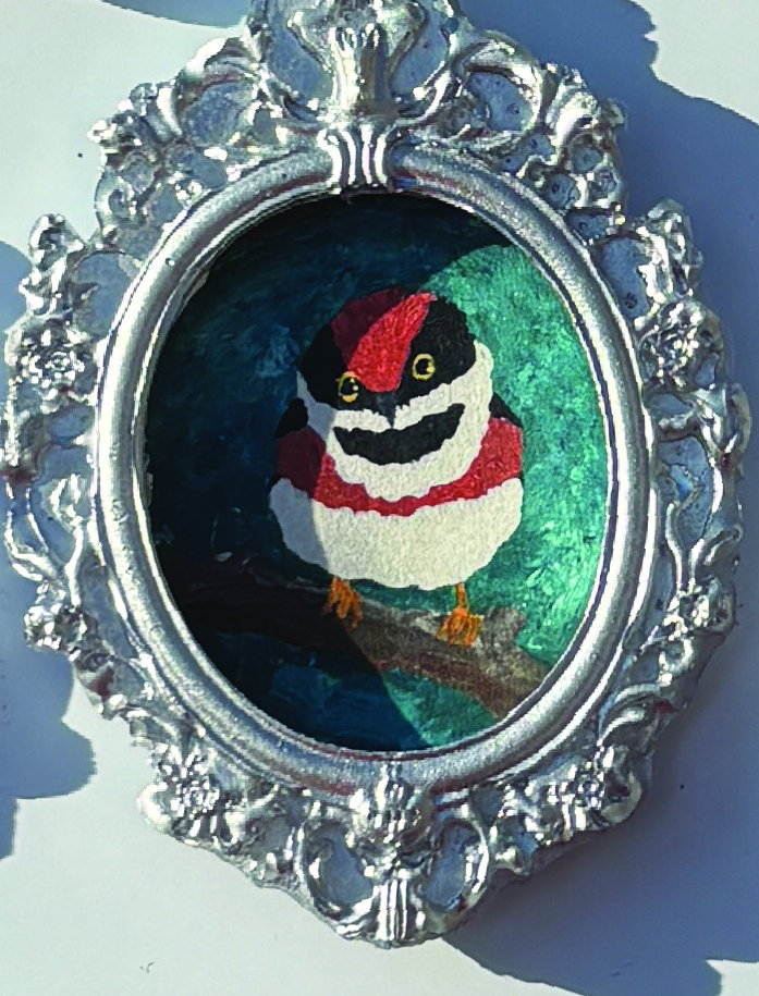 Derpy Birbs Magnets in Ornate Frames - Image 8