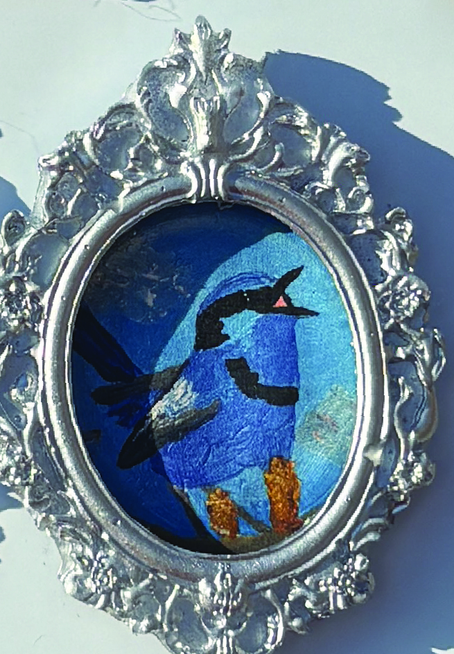 Derpy Birbs Magnets in Ornate Frames - Image 9