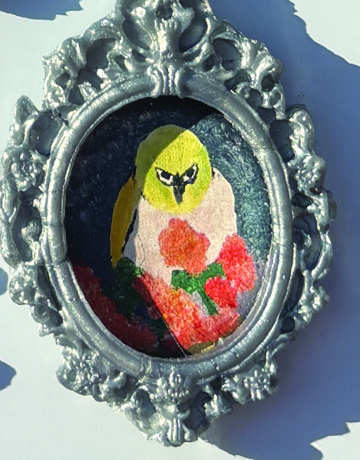 Derpy Birbs Magnets in Ornate Frames - Image 13