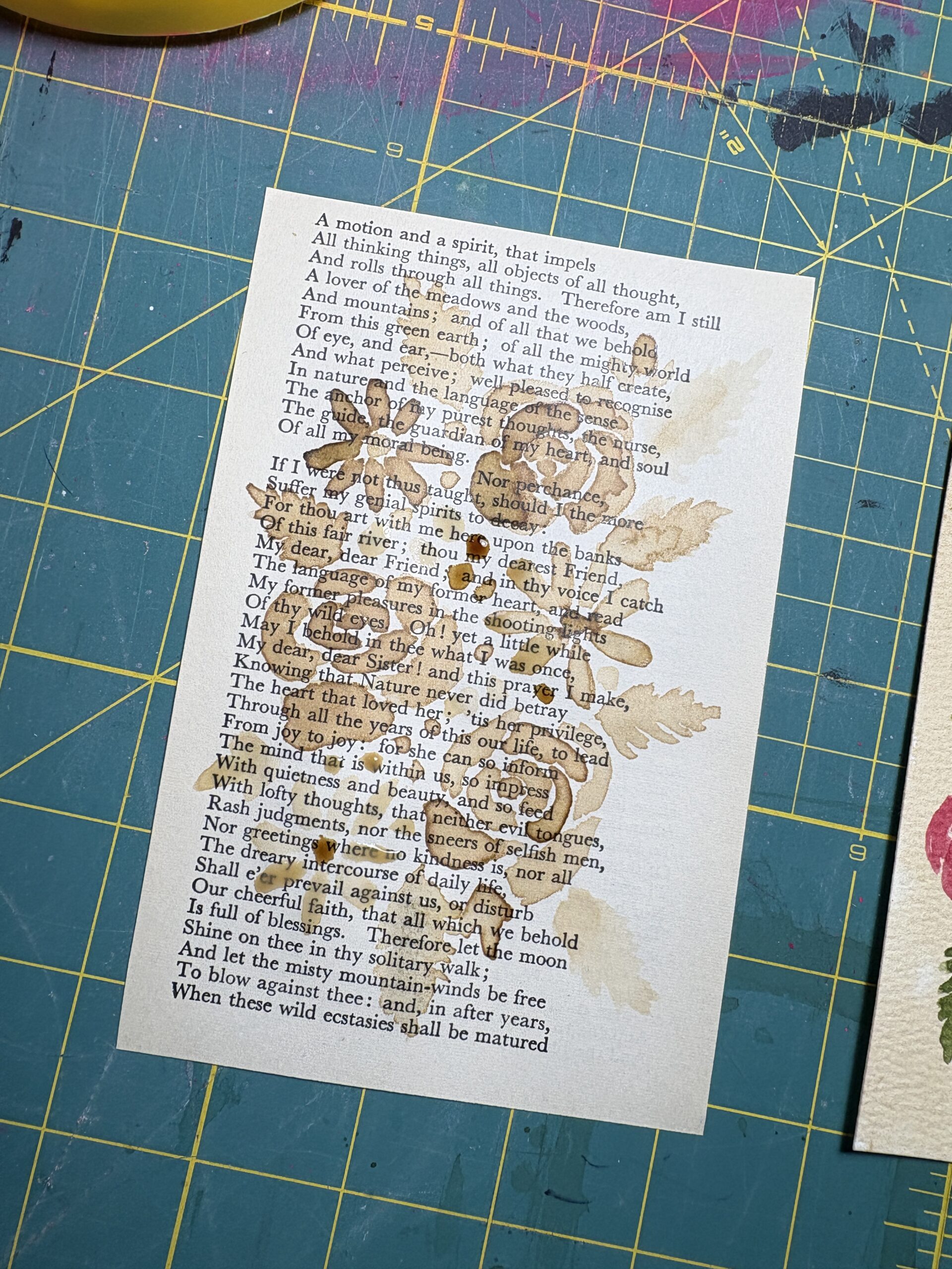 Coffee & Watercolour Painting Workshop- City Cafe Bakery - Image 8